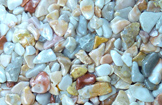 NATURA